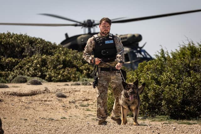 The RAF Police Military Working Dog Section on a training operation overseas