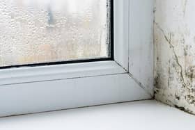 Melton Council is taking a more proactive approach to damp and mould in their housing
