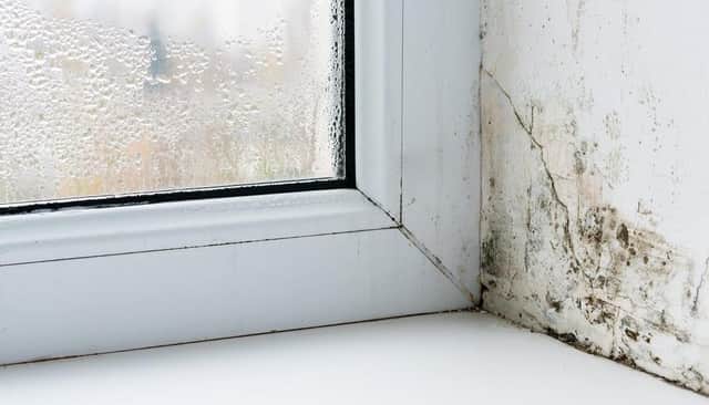 Melton Council is taking a more proactive approach to damp and mould in their housing