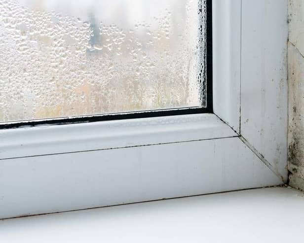 Melton Council is taking a more proactive approach to damp and mould in their housing