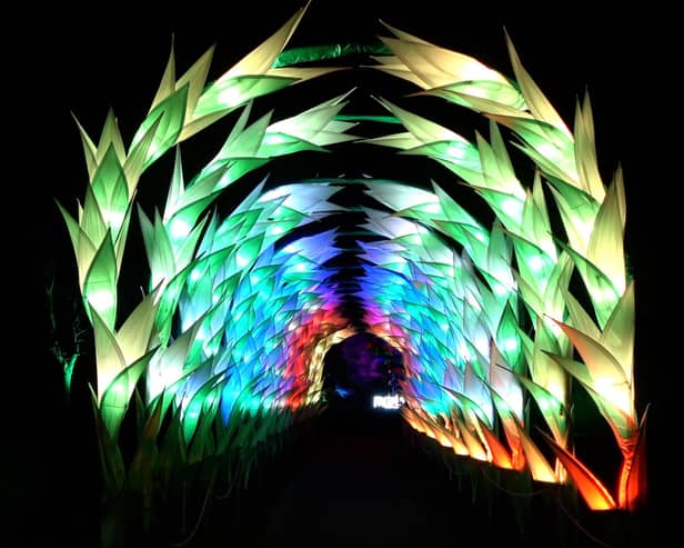 Gladioli Tunnel is a new showstopper at Christmas At Belton 2023