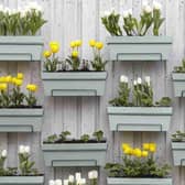 Gardening Express say vertical gardening is one of 2023's gardening trends