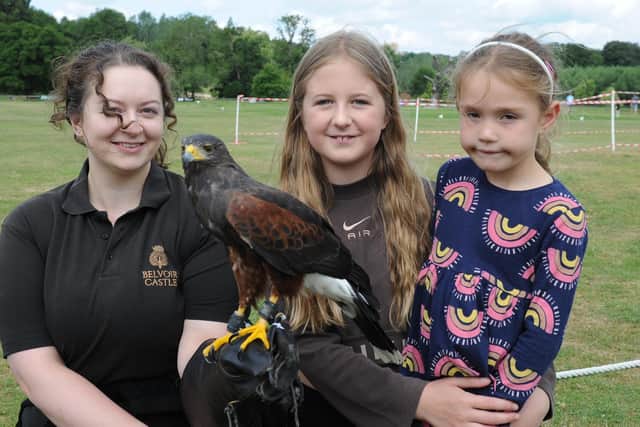 Scooby, a Harris's hawk, pictured at a previous activities day at Knipton PHOTO Grantham Journal