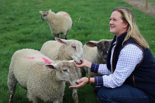The new animal park at Belvoir Castle