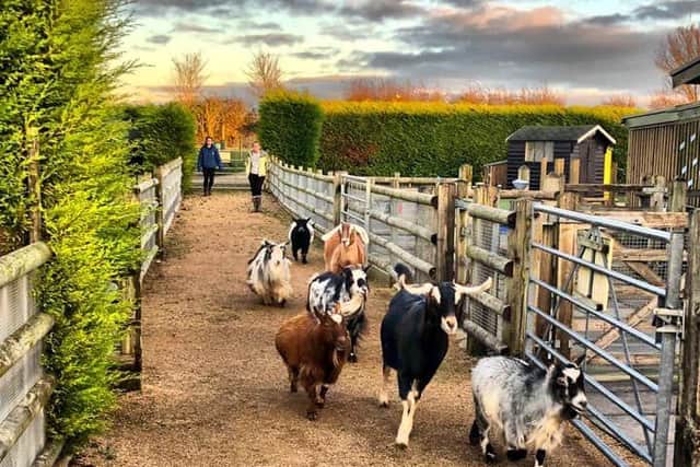 Manor Farm Park & Woodlands, East Leake, underlines its popularity with ...