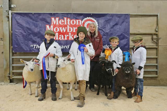 The Sheep Young Handlers class (aged nine and under) at the Melton Christmas Fatstock Show and Sale