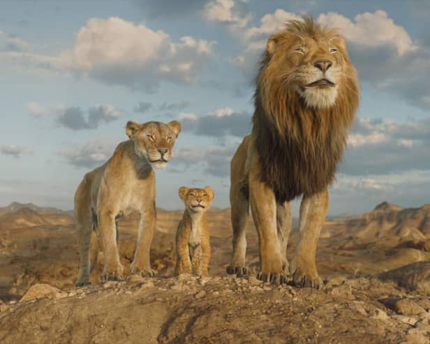 Afia (voiced Anika Noni Rose), Young Mufasa (voiced by Braelyn Rankins) and Masego (voiced by Keith David) in Disney’s Mufasa: The Lion King.  Photo courtesy of Disney.