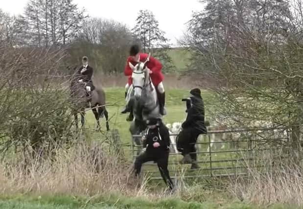 A still from the Hertfordshire Hunt Saboteurs video showing the moment the hunt activist is hit by a horse jumping a gate during a Cottesmore Hunt meet at Whissendine on Saturday