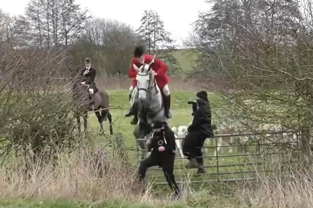 A still from the Hertfordshire Hunt Saboteurs video showing the moment the hunt activist is hit by a horse jumping a gate during a Cottesmore Hunt meet at Whissendine on Saturday