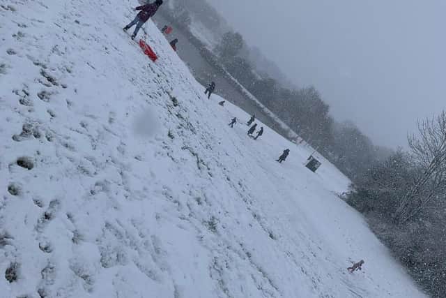 Families enjoy sledging in Melton Country Park this morning