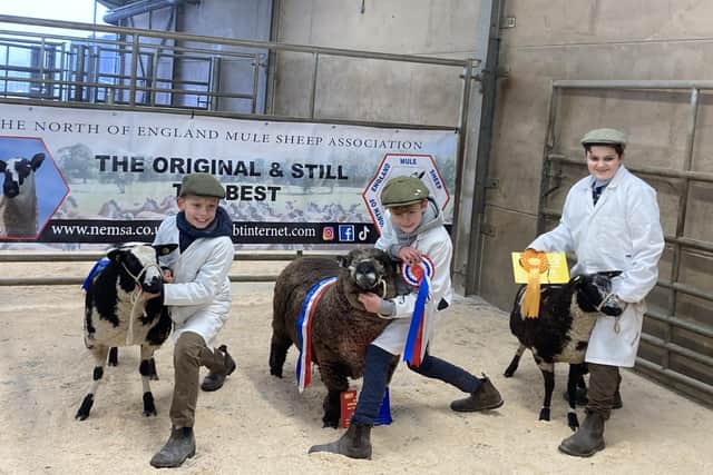 11-year-old Joe Trofer-Cook with his winner of The Best Sheep Young Handler and other entrants in the young handler category at the Melton Christmas Fatstock Show