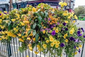 Colourful barrier baskets planted by the Melton In Bloom team on Sherrard Street
