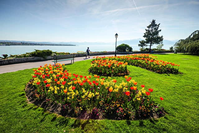 Multi-coloured Morges Tulip Festival (photo: Swiss Tourism / Markus Aebischer)