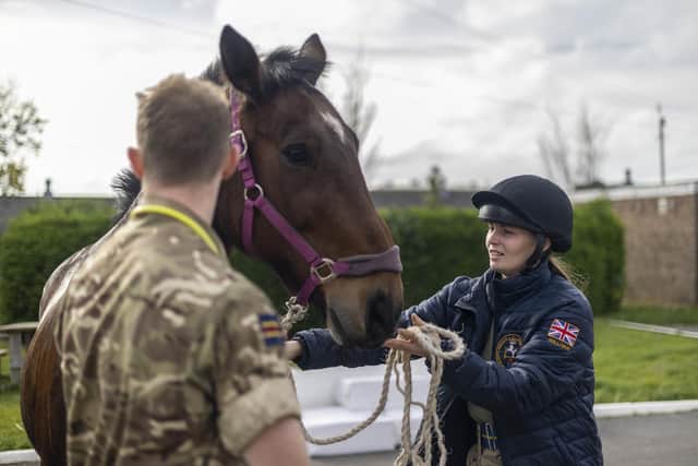 A military horse being trained at the DATR in Melton