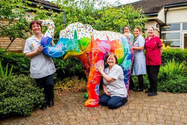 Staff at the LOROS hospice with one of the stunning elephants on the new trail for the Stomp Round Leicester fundraiser