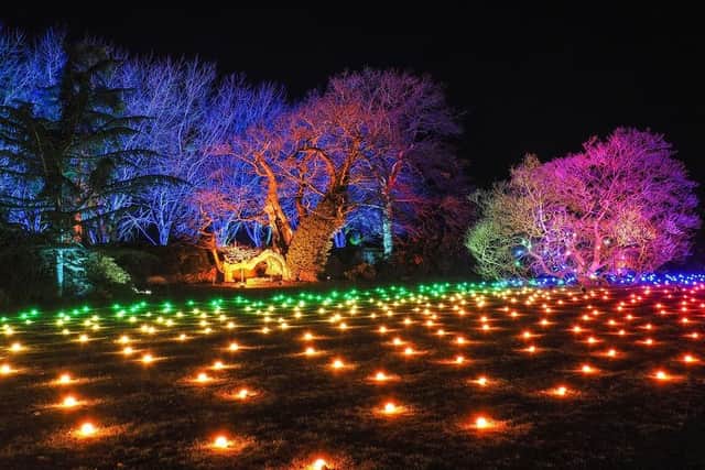 The carpet of light at Belvoir Castle's Spectacle of Light