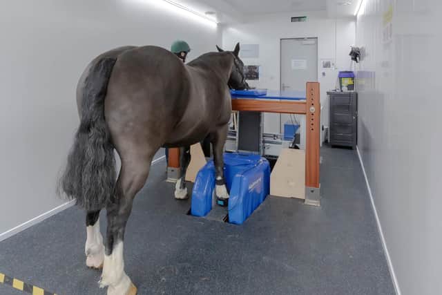 The new MRI scanner at Chine House where horses remain standing when they are checked