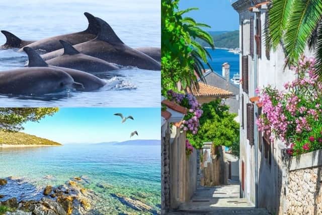 One lucky applicant the chance to travel around Croatia next summer (Photo: Unforgettable Croatia)