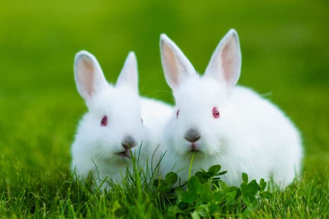 Do you have any traditions to mark the start of a new month? (Photo: Shutterstock)