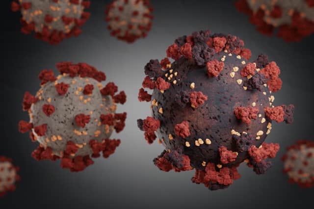 Door to door Covid testing is underway in parts of England after South African variant was found (Photo: Shutterstock)