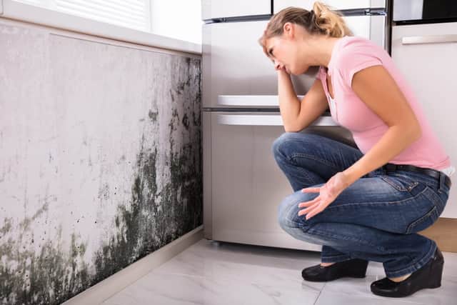 More than half of residents suffer from mould in their homes. (Picture: Shutterstock)