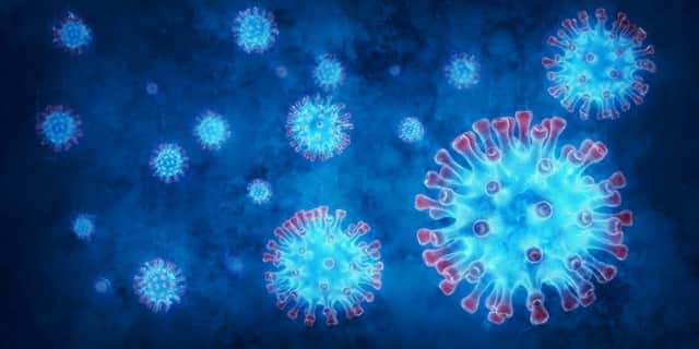 The variant could cause reinfection in up to 61% of people who have already had Covid-19 (Photo: Shutterstock)