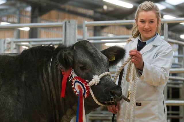 Charlotte Davies shows off the champion beast  at the Christmas Fatstock Show

?Tim Scrivener Photographer 07850 303986
....Covering Agriculture In The UK.... EMN-170512-165834001