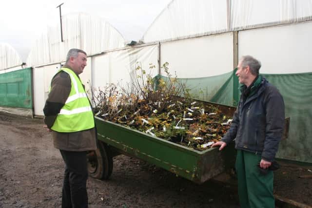 Brooksby Melton College's Grounds Team member Tony Riddington receiving the roses from Coles Nurseries managing director James Coles PHOTO: Supplied