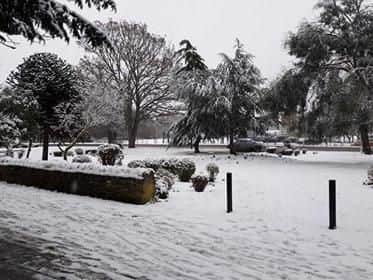 Snow fell across the region yesterday and more is possible today. Photo: Stephen Pollard