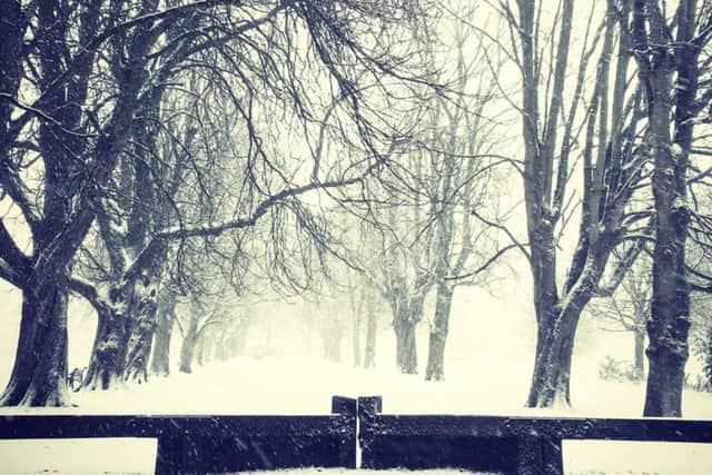 Reader Dan McGrady capturned this stunning wintry shot in Play Close EMN-171212-132805001