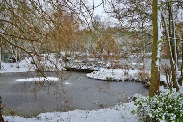 Simon Knott took this impressive image of a bridge in the park EMN-171212-132819001