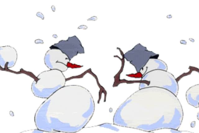 Snowballing fun PHOTO: Supplied