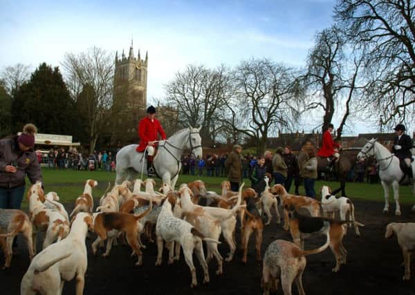Quorn Hunt hounds and horses on show in the Play Close EMN-180201-085118001