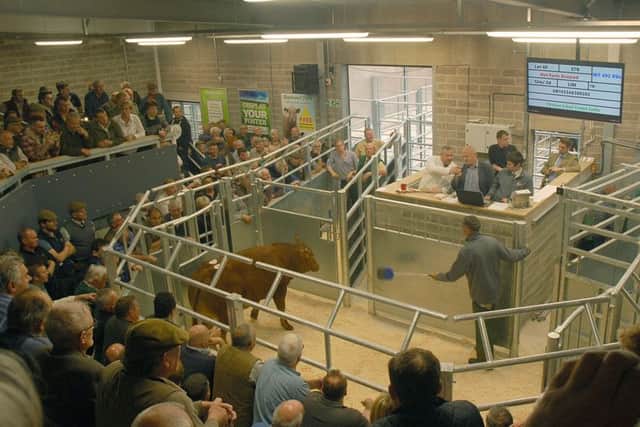 The new auction ring in use at Melton Cattle Market EMN-180301-114151001