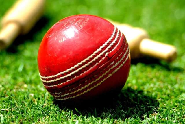 Cricket