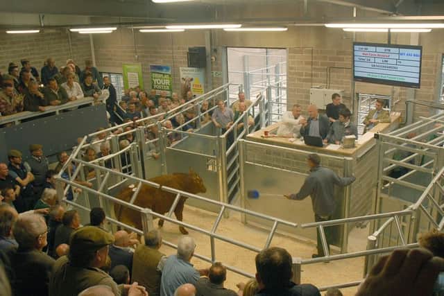 The new auction ring in use at Melton Cattle Market EMN-180123-093114001