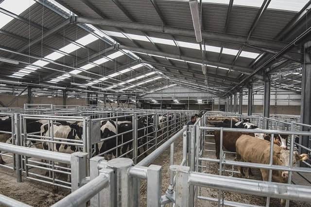 The new Melton Cattle Market shed which forms part of the phase one of the market's redevelopment EMN-180219-110152001