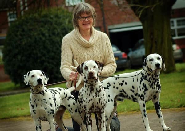 Elizabeth Sampson with her three dalmations she is showing at Crufts, Merlin, Jazz and Inca EMN-180903-170402001