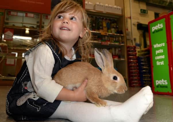 Pets at Home is running free workshops with rabbits this Easter PHOTO: Peter Glaser