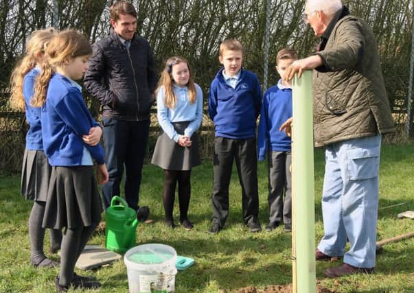 Dennis Hurst explaining the tree could grow to 40ft high PHOTO: Supplied