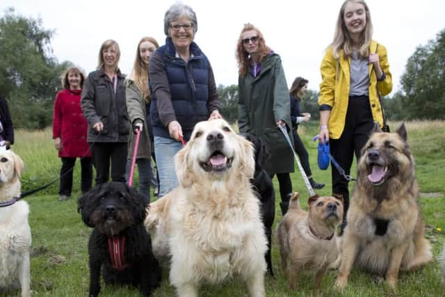 Melton residents and their pets celebrate the opening of a new dog activity trail in Melton Country Park as part of the town's pet-friendly campaign EMN-180404-163039001
