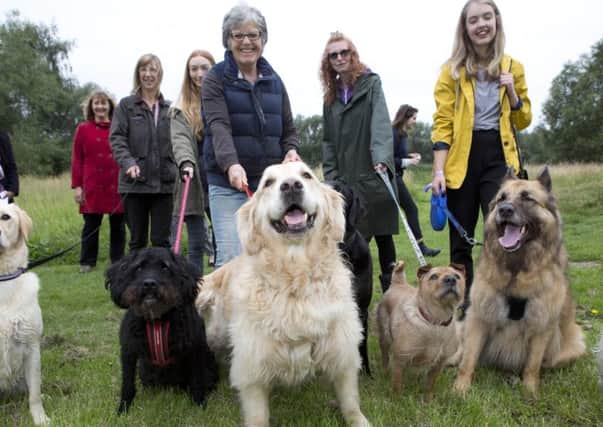 Melton residents and their pets celebrate the opening of a new dog activity trail in Melton Country Park as part of the town's pet-friendly campaign EMN-180404-163039001