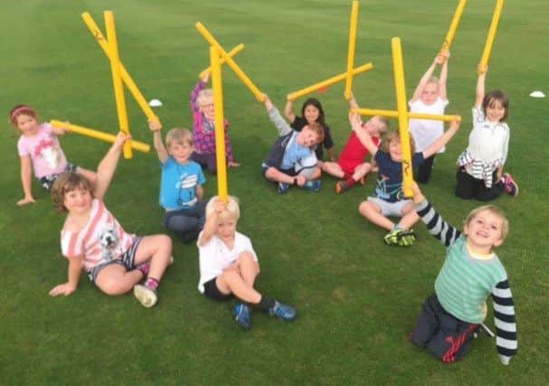 Belvoir Bees kwik cricket is coming to a ground near you EMN-180604-131604002