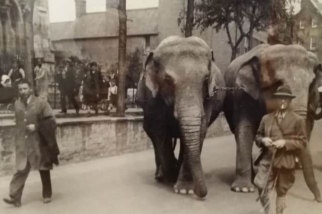 Elephants from the Bertram Mills International Circus are led down Burton Street, Melton, possibly after being through the horse wash on Leicester Road EMN-180424-170813001