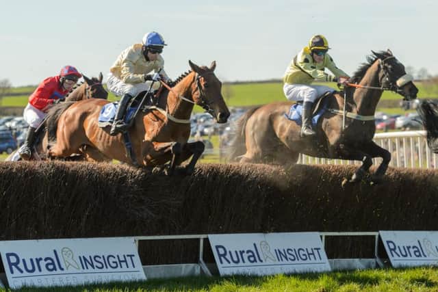 The prolific Hazel Hill could go head-to-head with TheTalkingHorse at Garthorpe on Sunday Picture: Nico Morgan EMN-180425-091746002