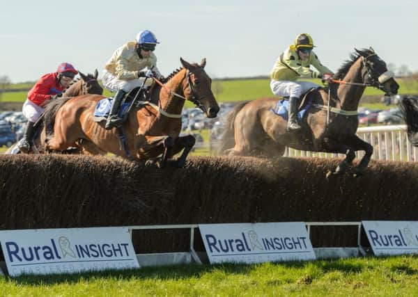 The prolific Hazel Hill could go head-to-head with TheTalkingHorse at Garthorpe on Sunday Picture: Nico Morgan EMN-180425-091746002