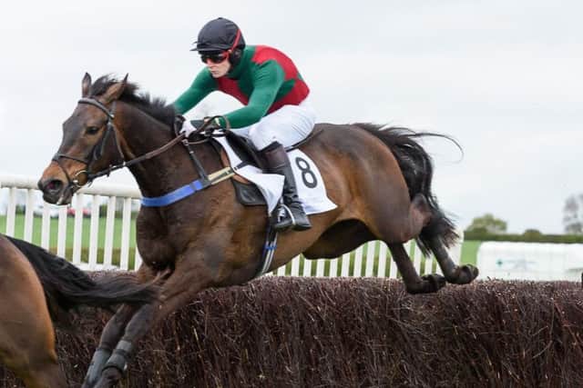 Jamie Hepburn guides Robin De Boss to victory in the National Novice Riders Final PICTURE: Nico Morgan EMN-180105-094357002