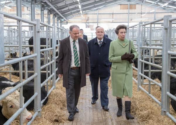 Princess Anne takes a stroll through the new cattle sheds as she officially opens new developments at Melton Cattle Market

PHOTO Paul Brown Imaging Ltd EMN-181203-125946001
