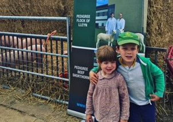 Isaac and Oliva Fryer enjoying the pigs at Open Farm Sunday PHOTO: Supplied