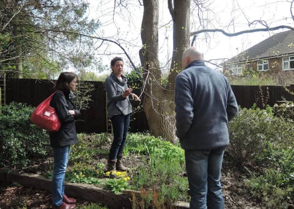 Gardner Christina Moulton shows some visitors the Tulip Tree leaves PHOTO: Supplied